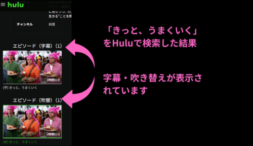 Huluで「きっと、うまくいく」を検索した結果の画面